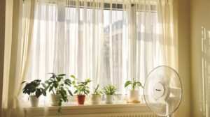 comment occulter une fenêtre contre le soleil